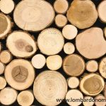 ¿Por qué usamos madera de Teca?